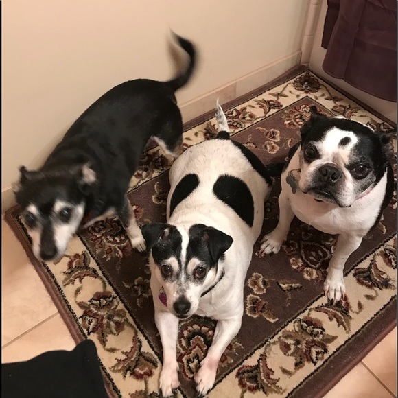 Meet your Posher, Jennifer - Picture 7 of 7